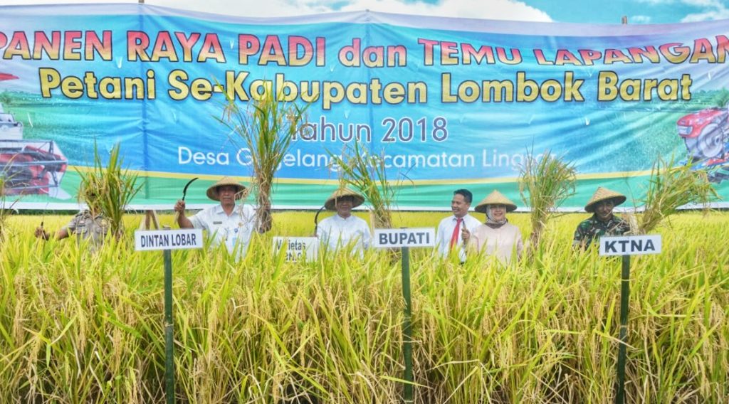 BUPATI AJAK PETANI KOMPAK DAN BEKERJA SAMA BUPATI AJAK PETANI KOMPAK DAN BEKERJA SAMA
