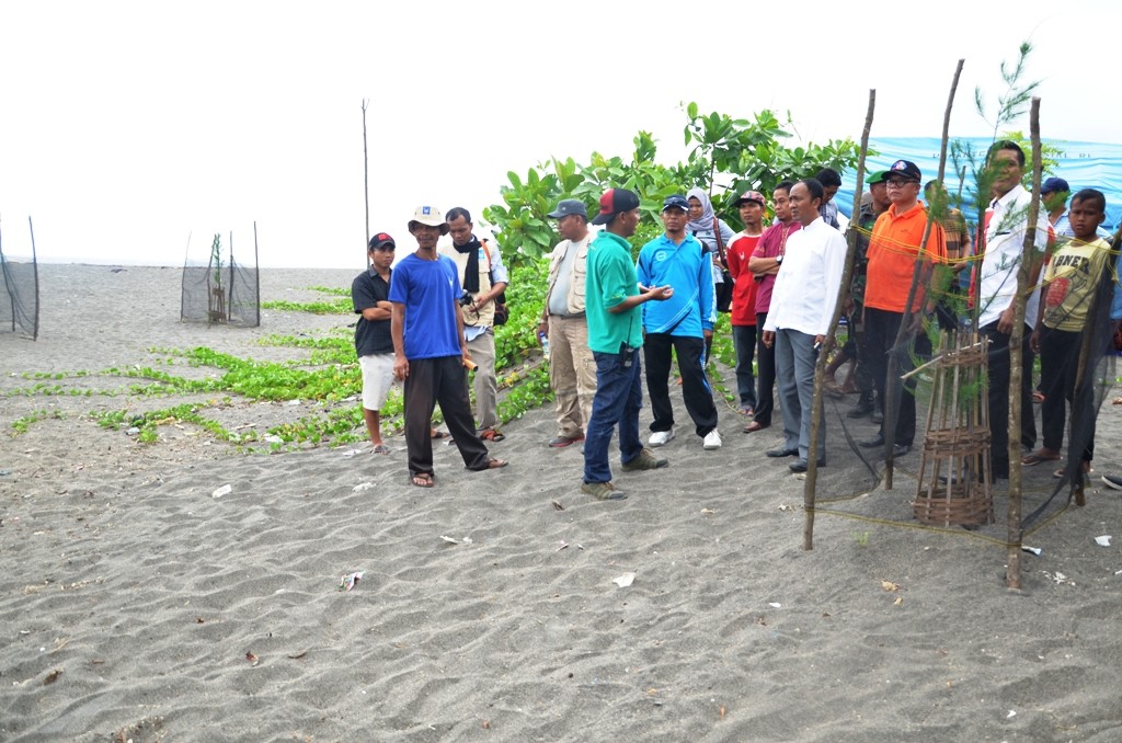 PLT Bupati dan rombongan meninjau lokasi penanaman pohon cemara laut (1)