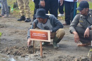 Bupati Lobar H. Fauzan Khalid tanam mangrove di Dusun Madak, Cendi Manik, Sekotong.