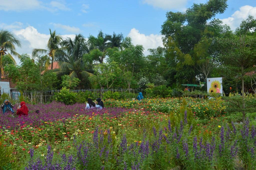 Botanic Garden Wisata Bunga Instagramable di Lombok Barat